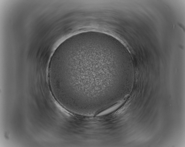 X0000098161535200804241752