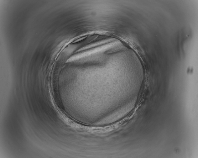 X0000098160001200805011442