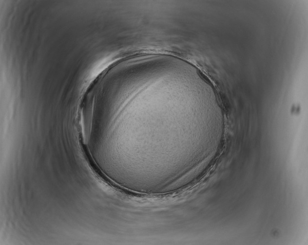 X0000098160005200805011441