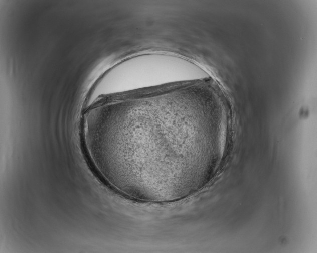 X0000098160007200805011441