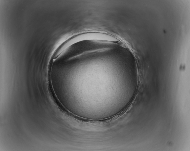 X0000098160008200805011441