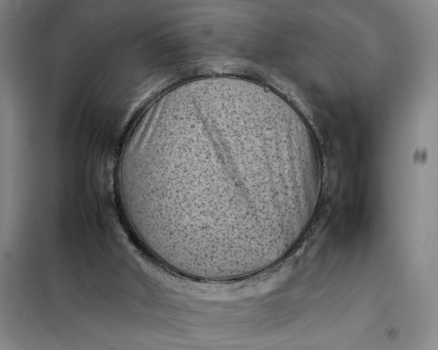 X0000098160010200805011441