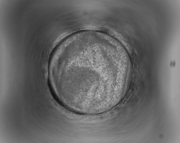 X0000098160011200805011441