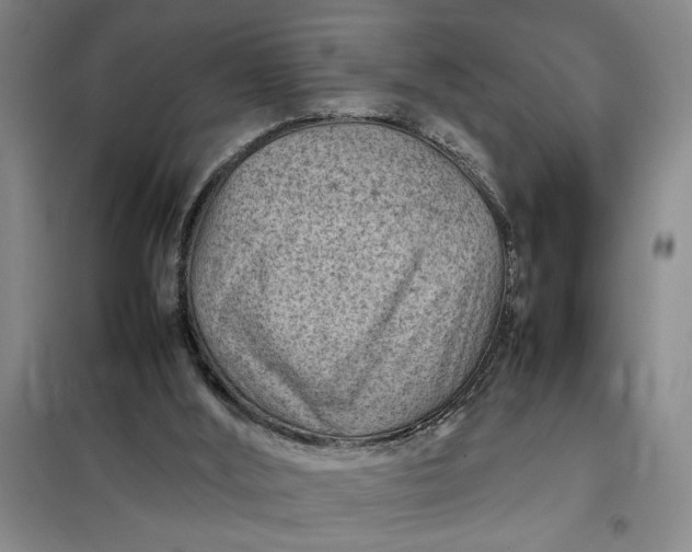 X0000098160012200805011441
