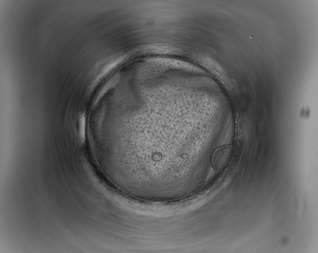 X0000098160014200805011441