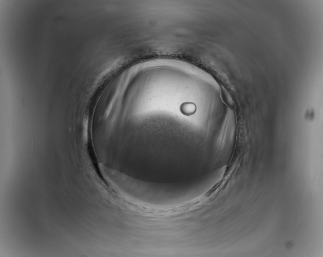 X0000098160019200805011441
