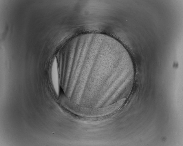 X0000098160021200805011441
