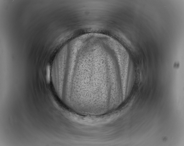 X0000098160022200805011441