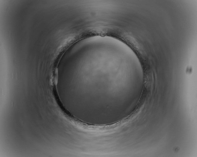 X0000098160023200805011441