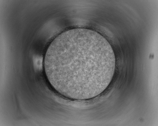 X0000098160024200805011441