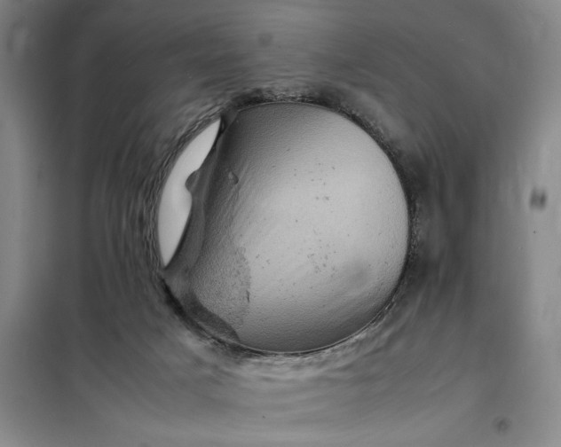 X0000098160025200805011441