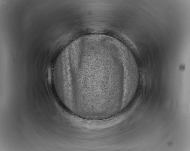 X0000098160026200805011441
