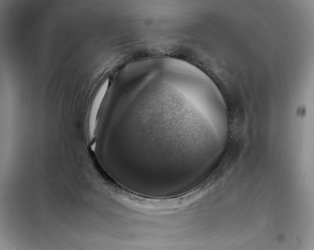 X0000098160027200805011441