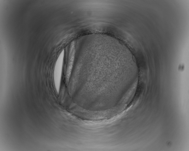 X0000098160029200805011441