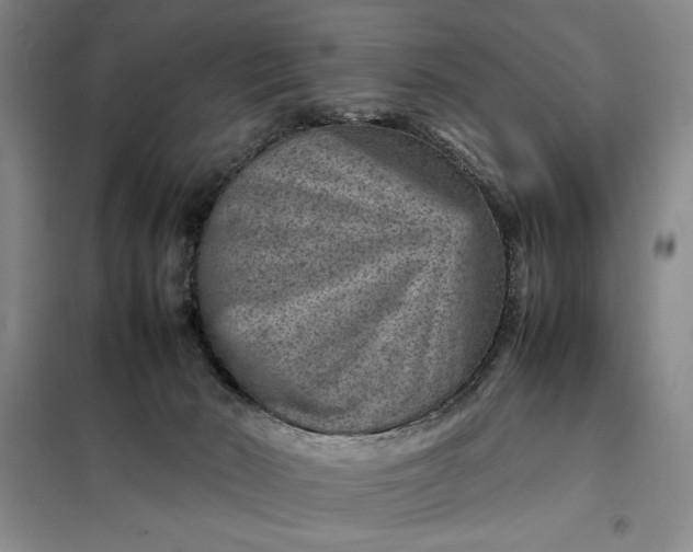 X0000098160030200805011441