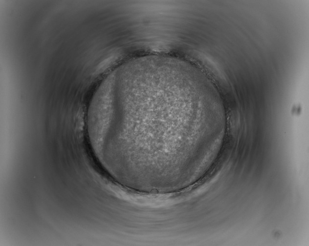 X0000098160032200805011441