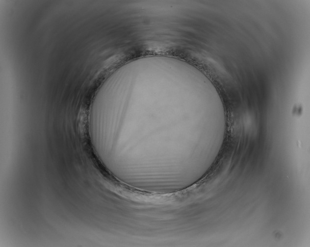 X0000098160036200805011441