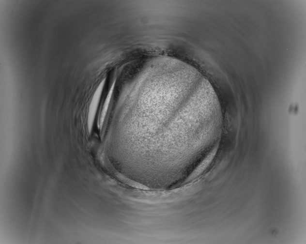 X0000098160037200805011441