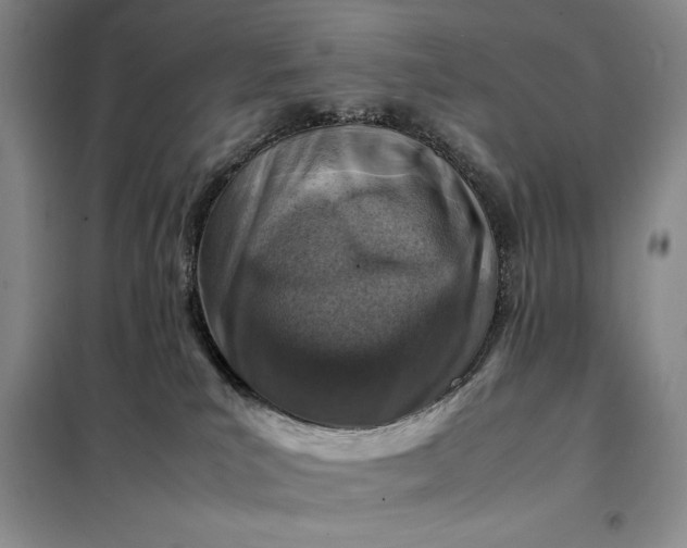 X0000098160039200805011441