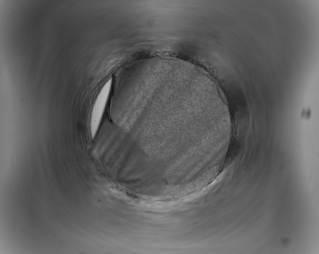X0000098160041200805011441