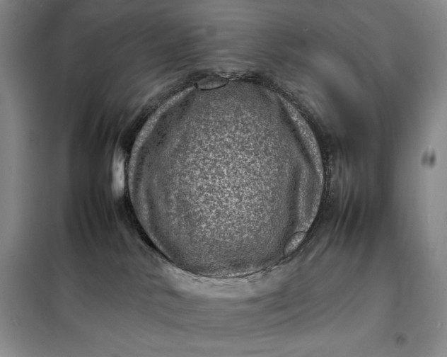 X0000098160042200805011441