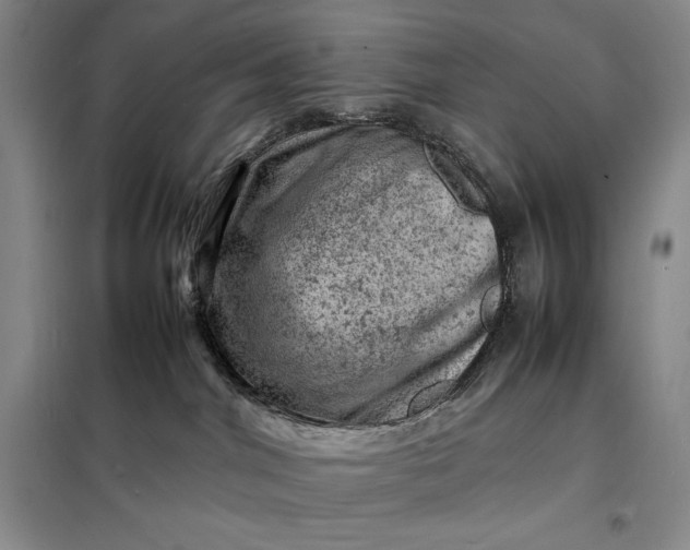 X0000098160044200805011441