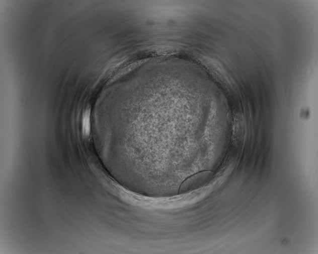 X0000098160046200805011441
