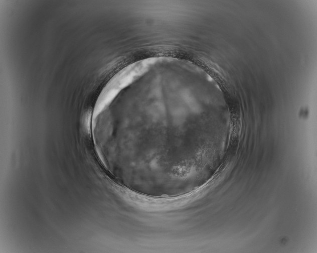 X0000098160047200805011441