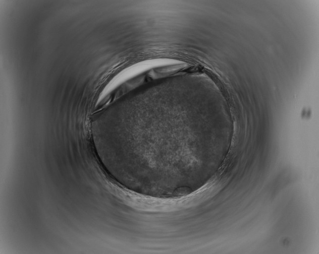 X0000098160048200805011441