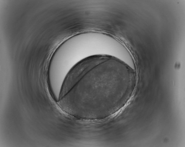 X0000098160049200805011440