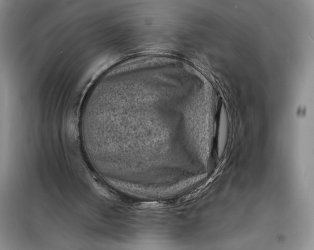 X0000098160050200805011440