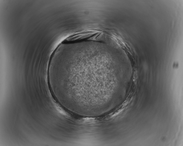 X0000098160052200805011440