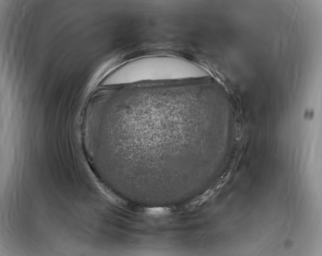X0000098160053200805011440