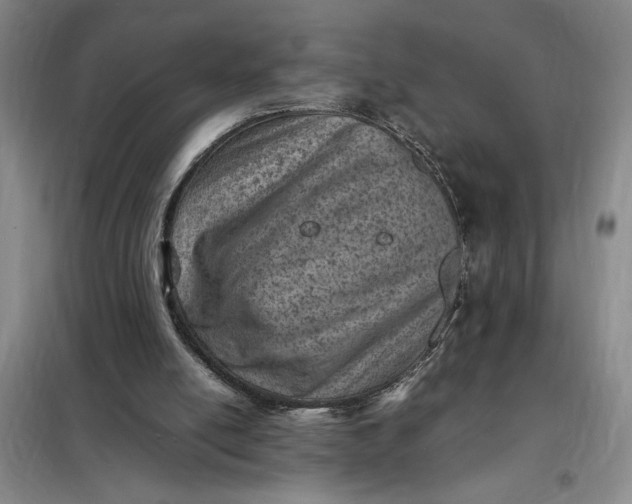 X0000098160054200805011440