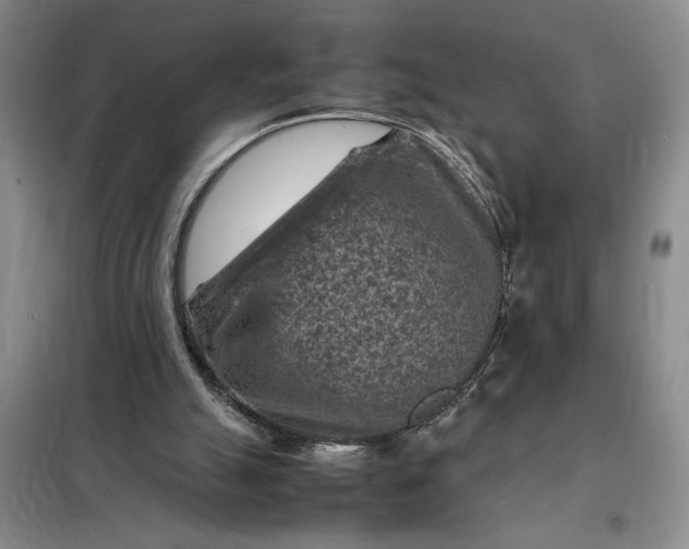 X0000098160055200805011440