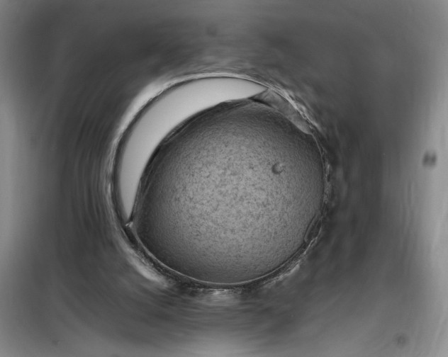 X0000098160056200805011440