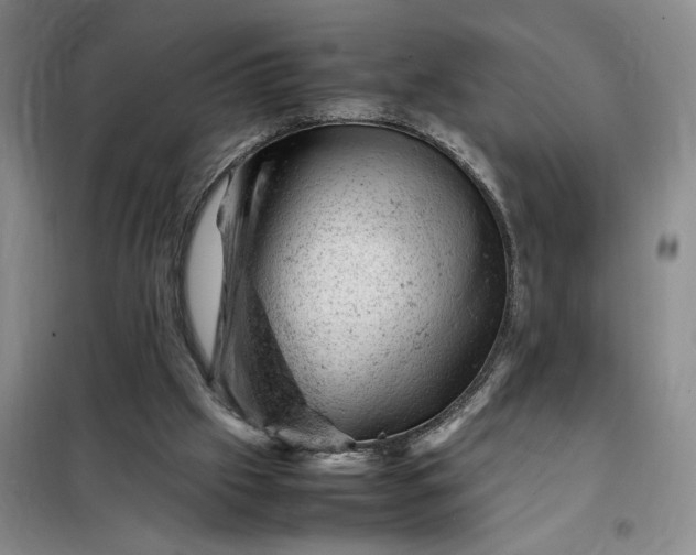 X0000098160057200805011440