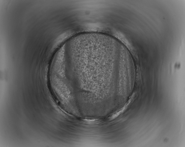 X0000098160058200805011440