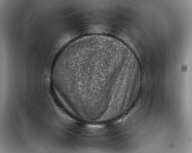 X0000098160063200805011440