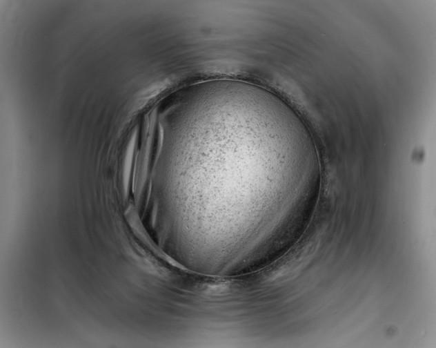X0000098160068200805011440