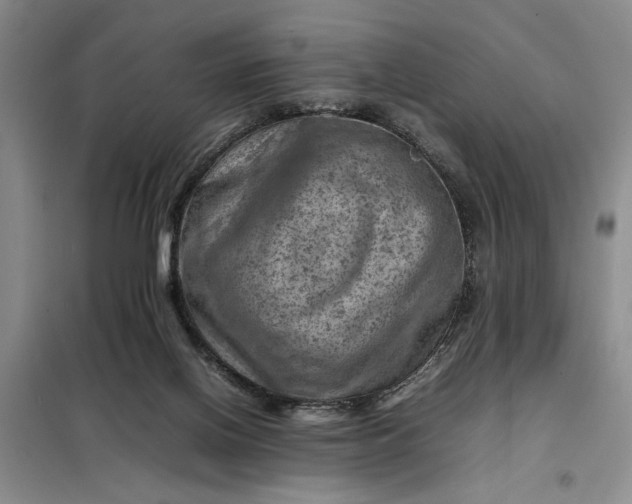 X0000098160070200805011440