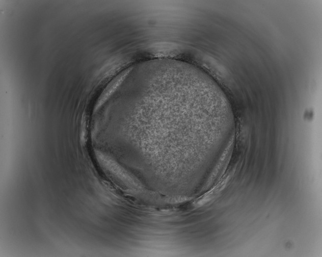 X0000098160074200805011441
