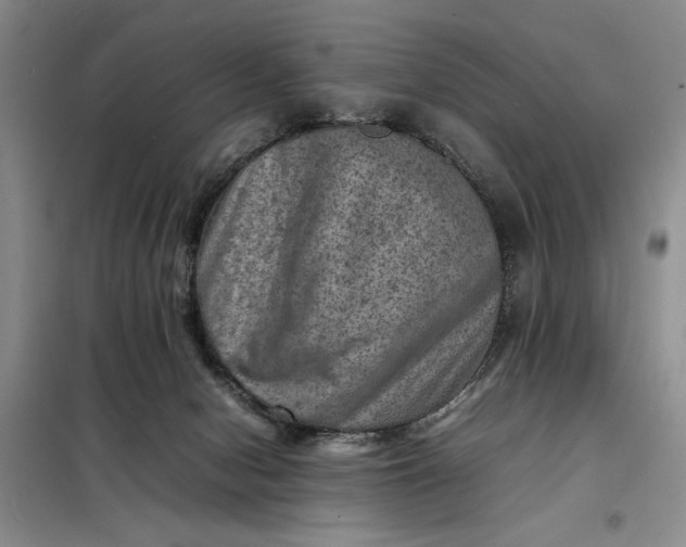 X0000098160078200805011441