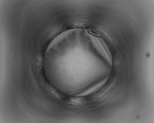 X0000098160079200805011441