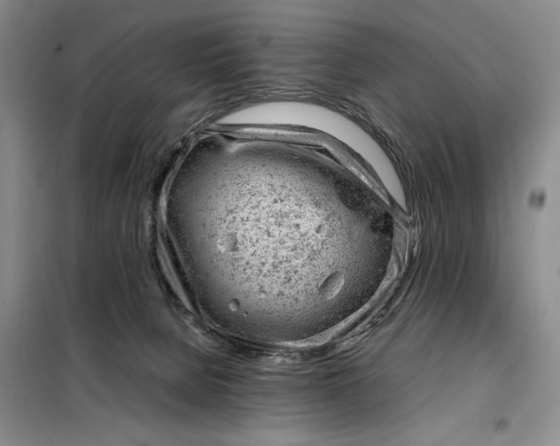 X0000098160080200805011441