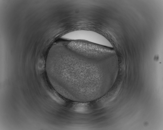 X0000098160081200805011441