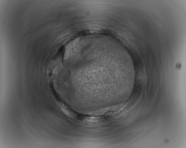X0000098160082200805011441