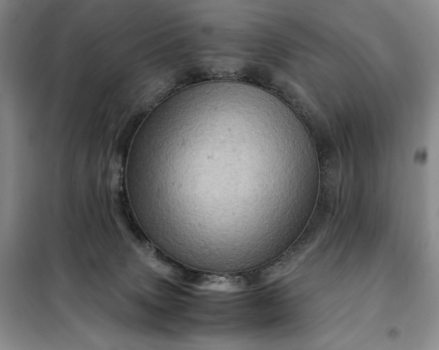 X0000098160083200805011441