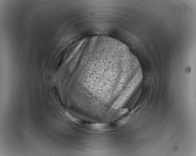 X0000098160084200805011441