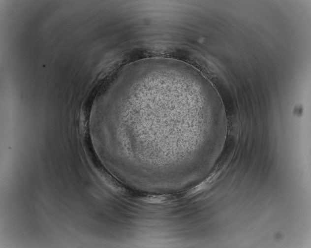 X0000098160086200805011441